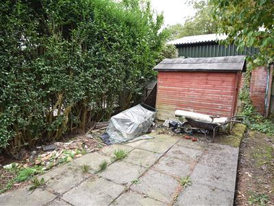 Picture 14